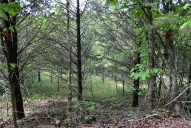 Property from 9ac Circle Rd - KW - Burkesville, Kentucky, 42717