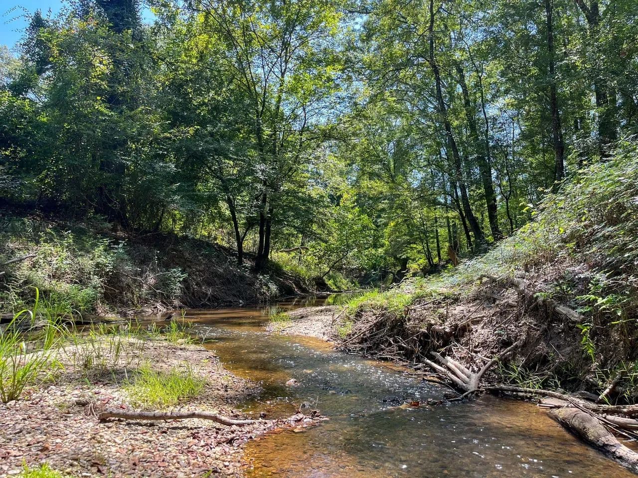 91.7+/- acres Copiah County - Hazlehurst, Mississippi, 39083