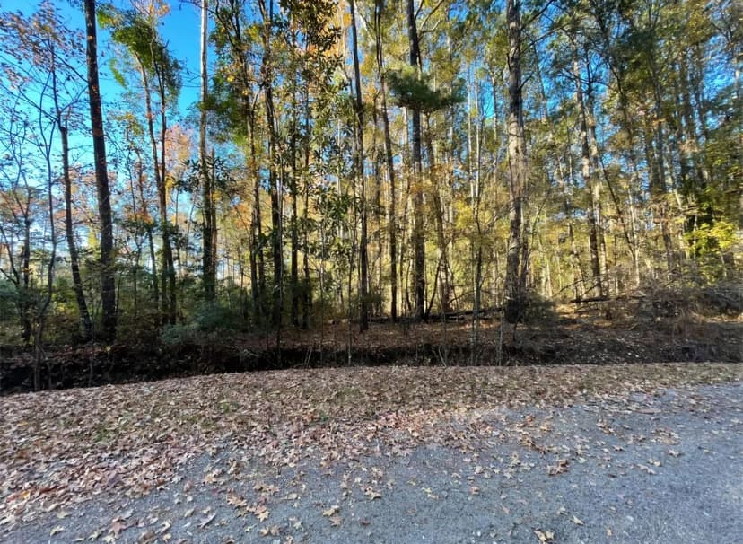 Vacant Land in Summerville