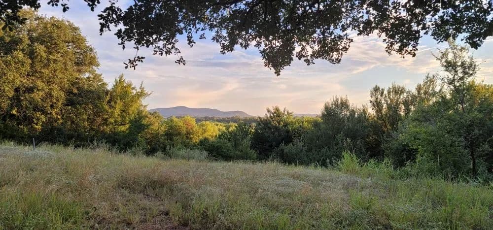 Vacant Land in Kingsland - Kingsland, Texas, 78639