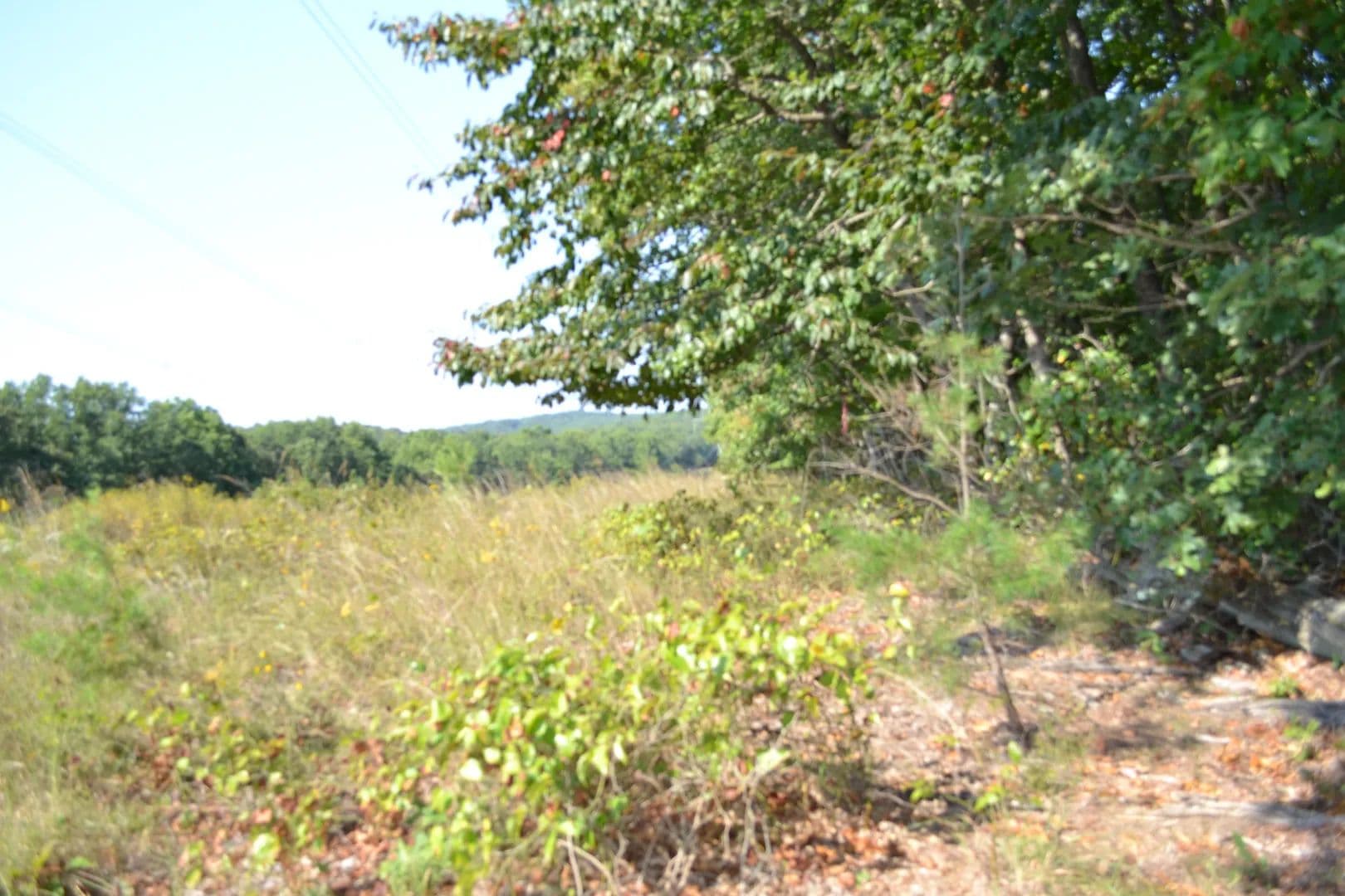 4.10 AC LOCATED IN PUTNAM CO, TN LOCATRED IN THE COUNTY, MTN VIEWS - Monterey, Tennessee, 38574