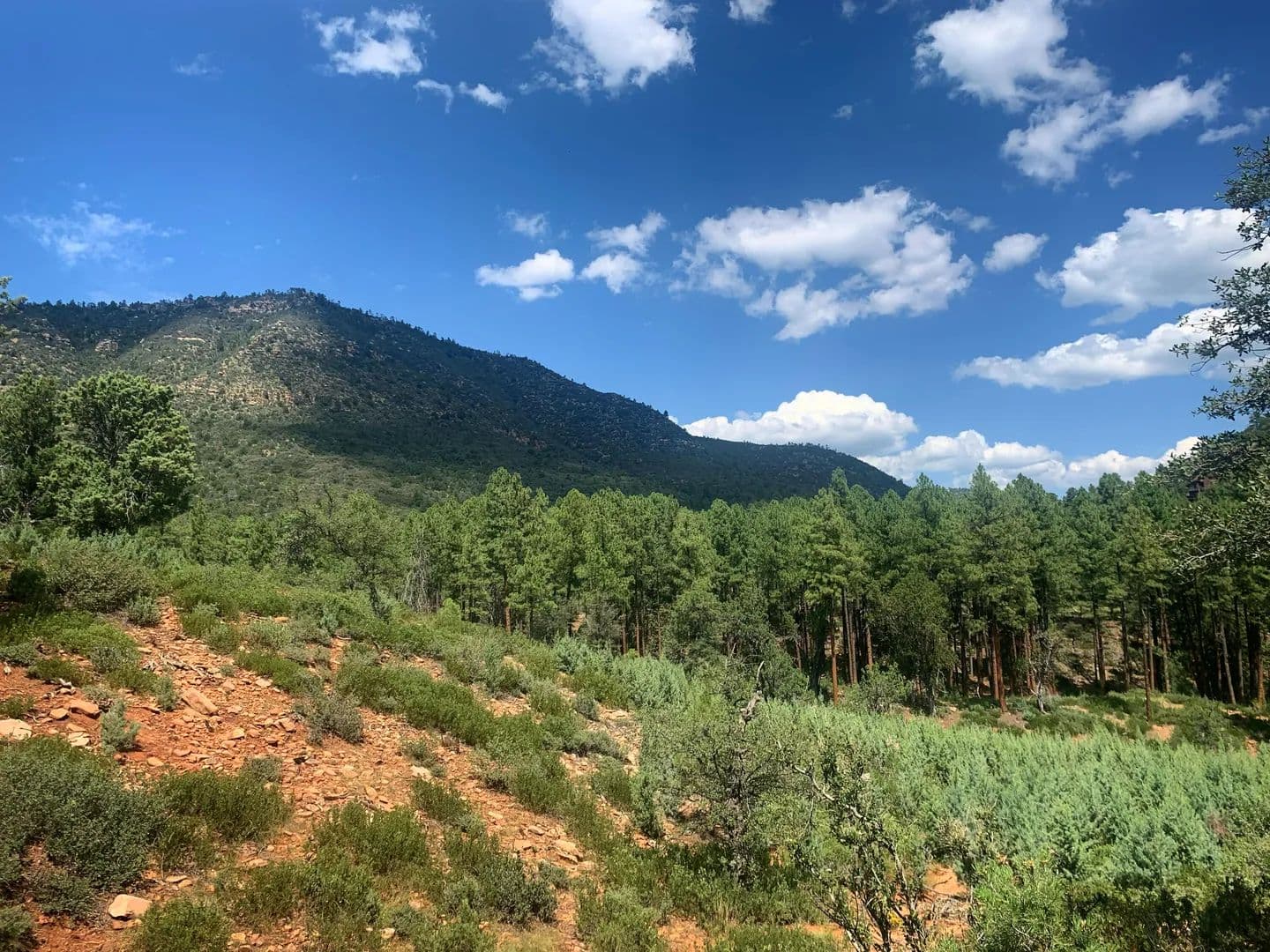 Lots & Land-Other in Pine - Pine, Arizona, 85544