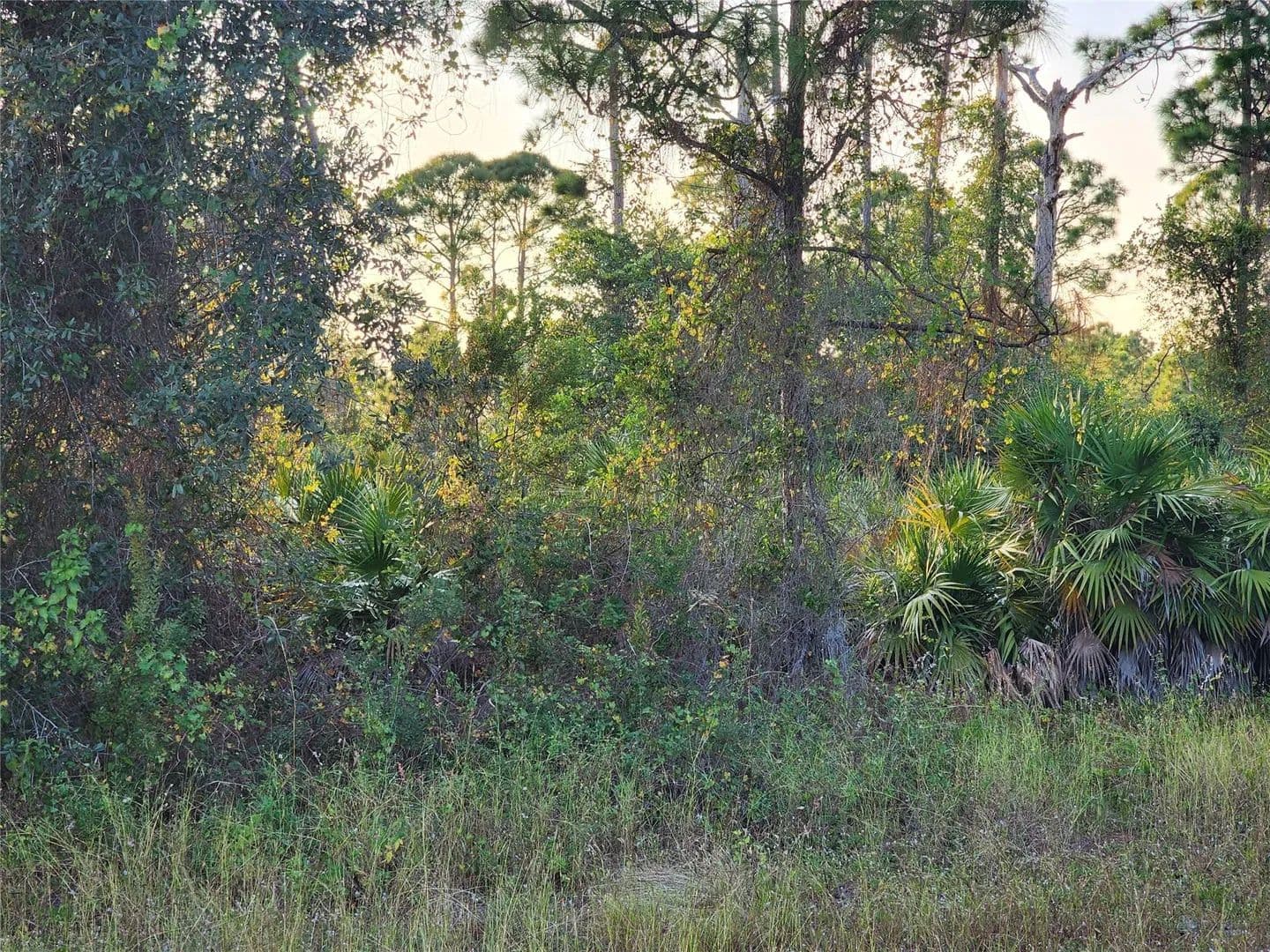 Vacant Land in Lehigh Acres - Lehigh Acres, Florida, 33974
