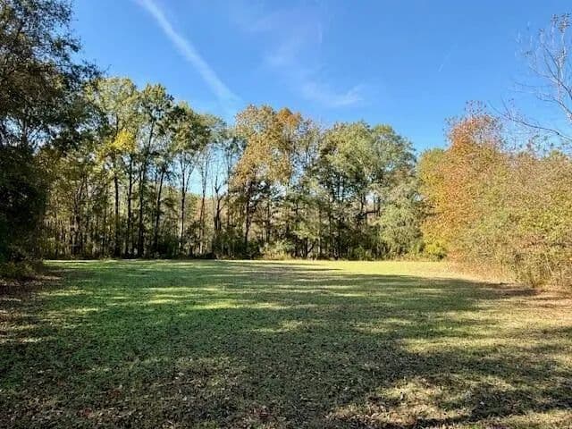 76 Acres For Sale Clay County MS