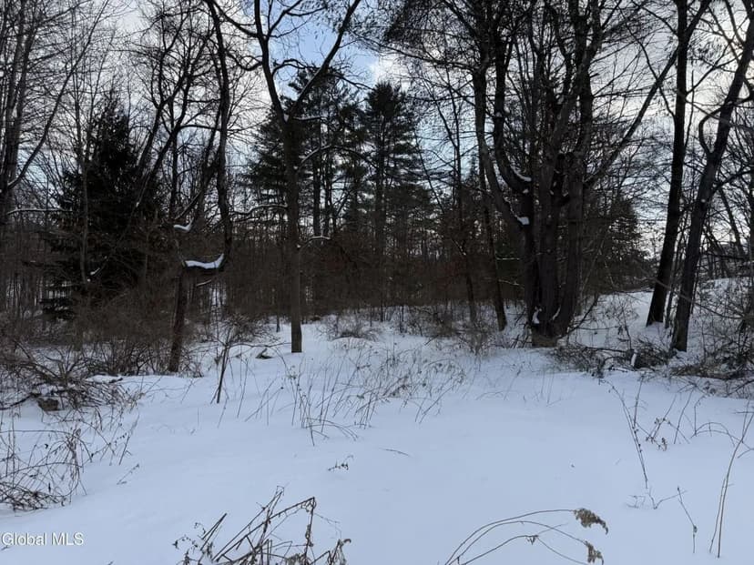 Land -Single Family Acreage in Johnstown