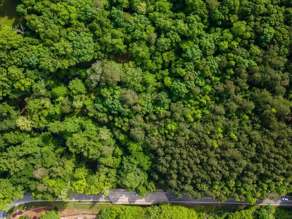 Lots & Land-Other in Woodstock - Woodstock, Georgia, 30188