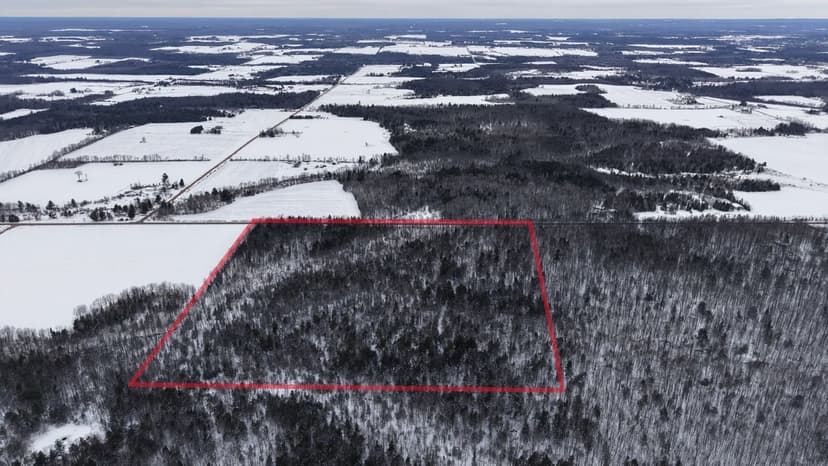 43+/- Acre Marathon County Hunting, Timber and Rec Tract For Sale