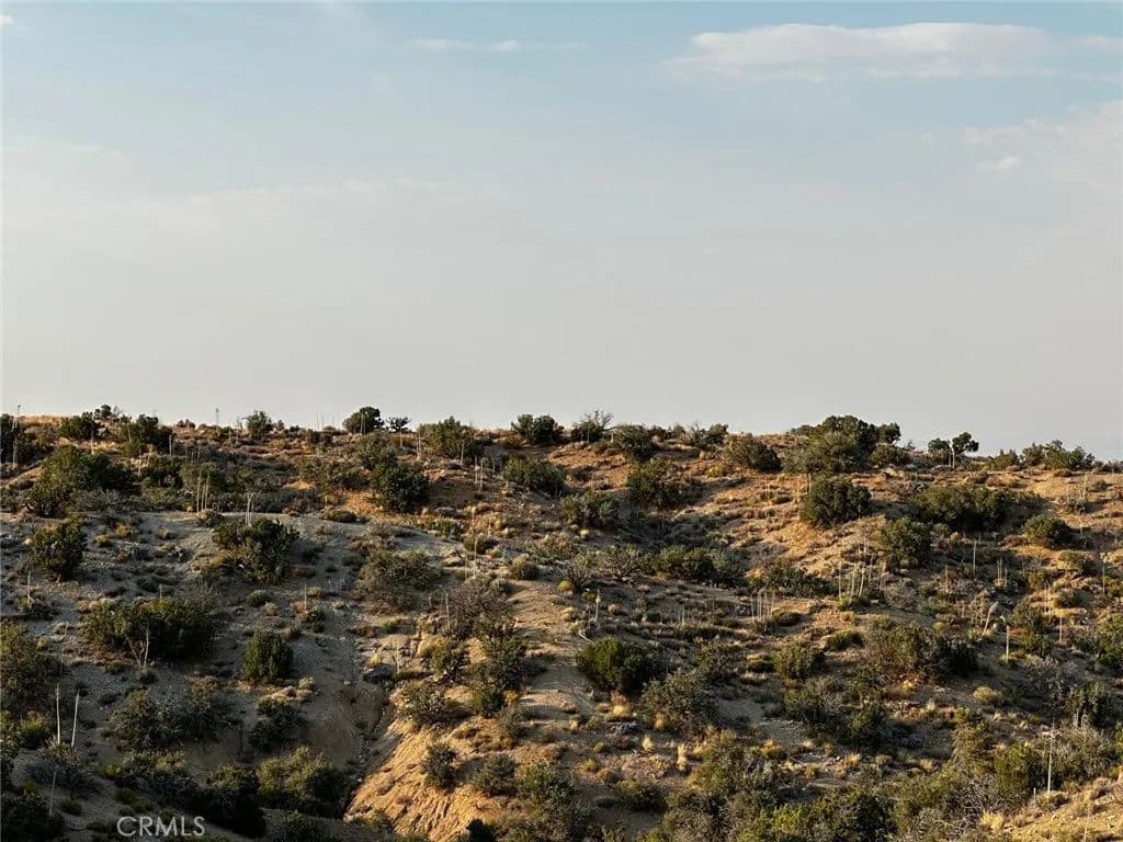 Vacant Land in Apple Valley - land for sale