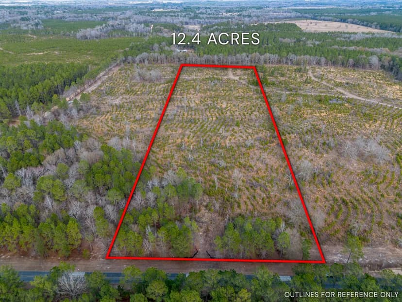 12.40 Acres - Cox Tract 2 in Dodge, GA	