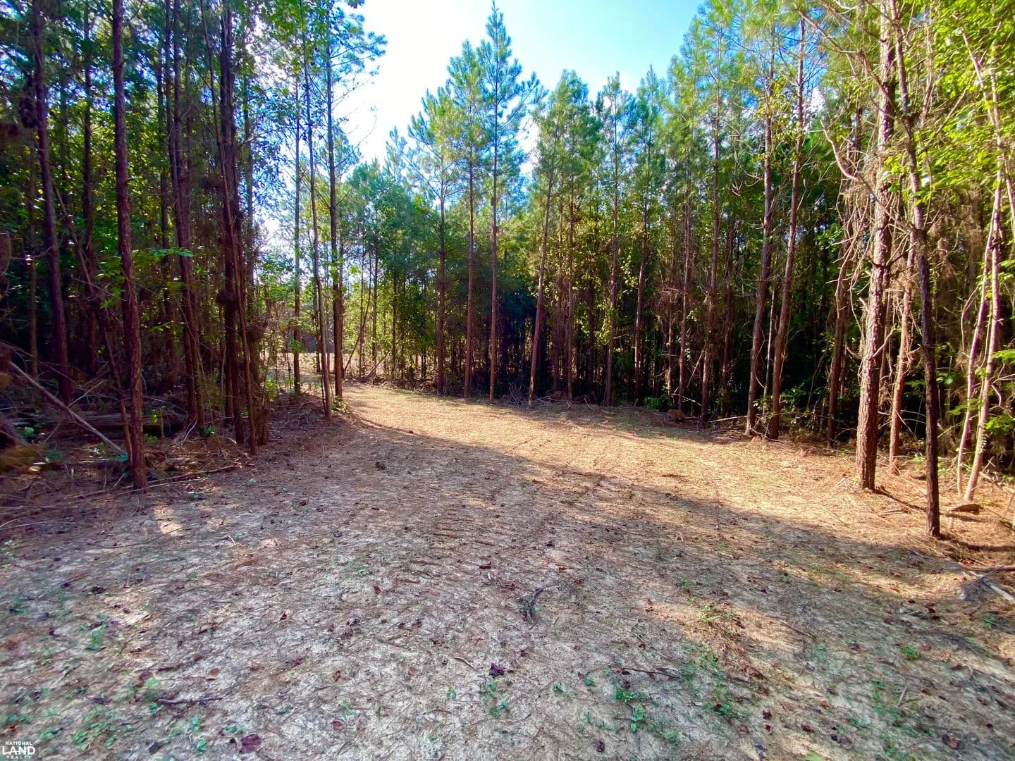Brookwood:  Lock 17 Rd. Hunting & Home Site Tract - Brookwood, Alabama, 35444