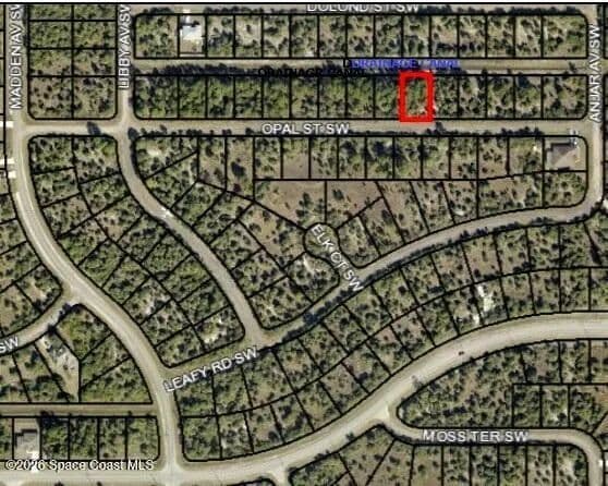Vacant Land in Palm Bay - Palm Bay, Florida, 32908