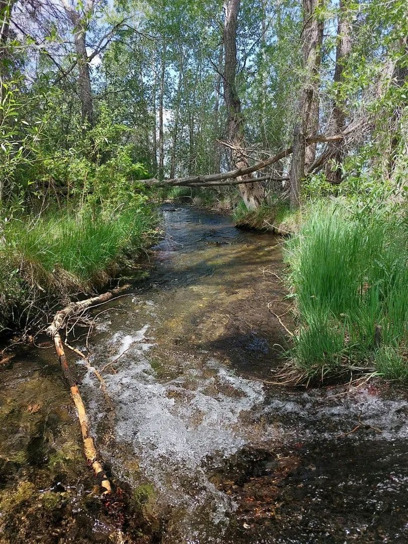 62.03 Acres of Land for Sale in Colorado - Colorado, 81143