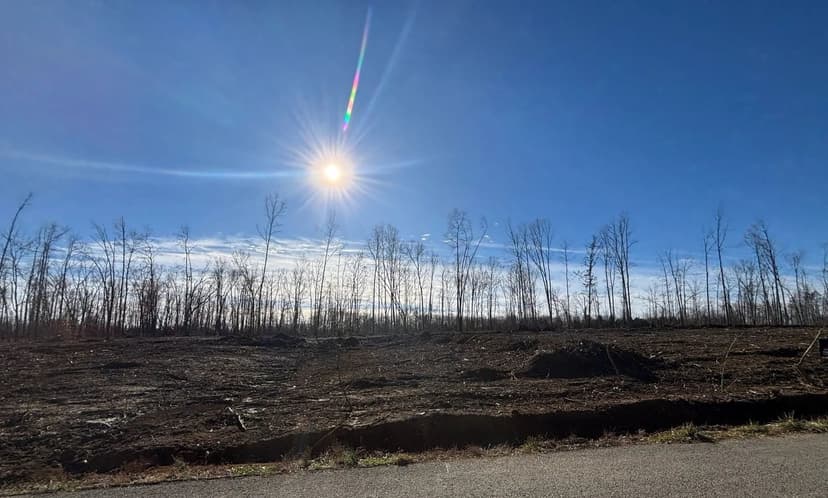 Lots & Land-Other in Wartrace