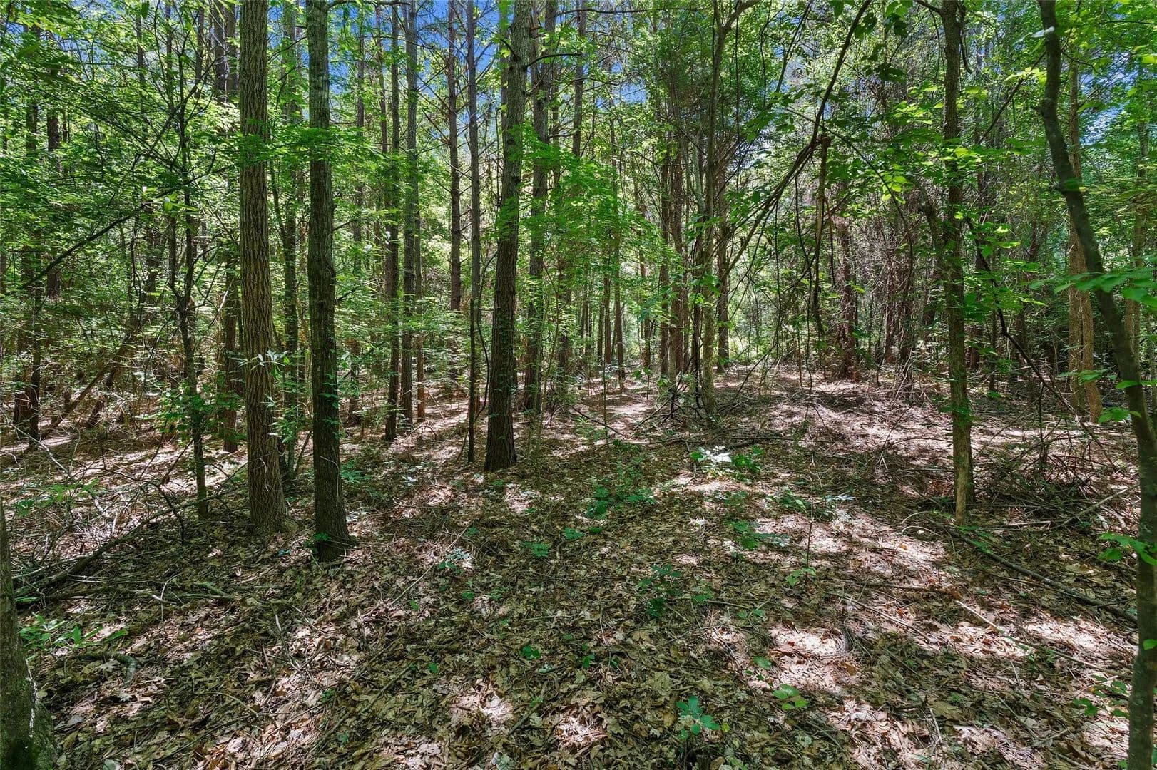 2 Acres of Land for Sale in De Berry, TX - De Berry, Texas, 75639