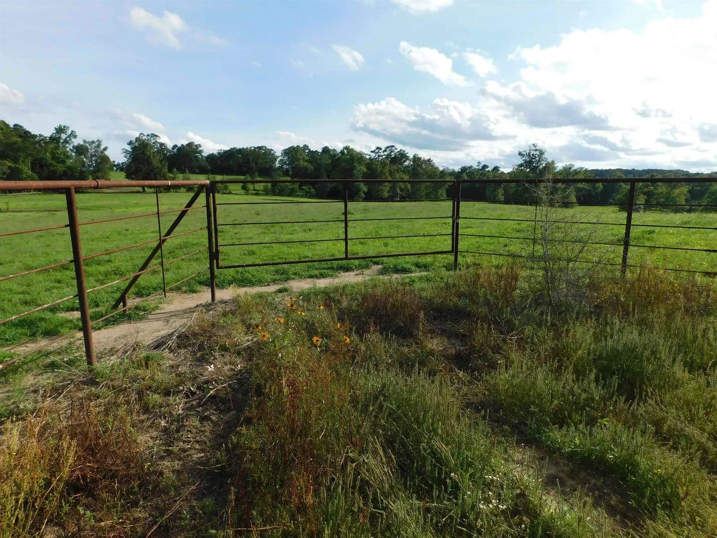 Vacant Land in Big Sandy - Big Sandy, Texas, 75647