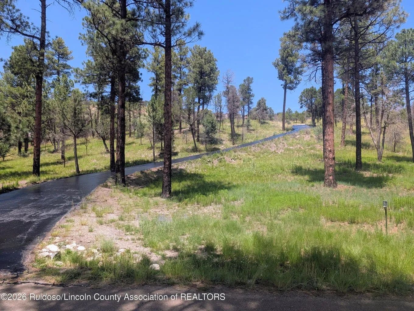 Land -Single Family Acreage in Ruidoso - Ruidoso, New Mexico, 88345