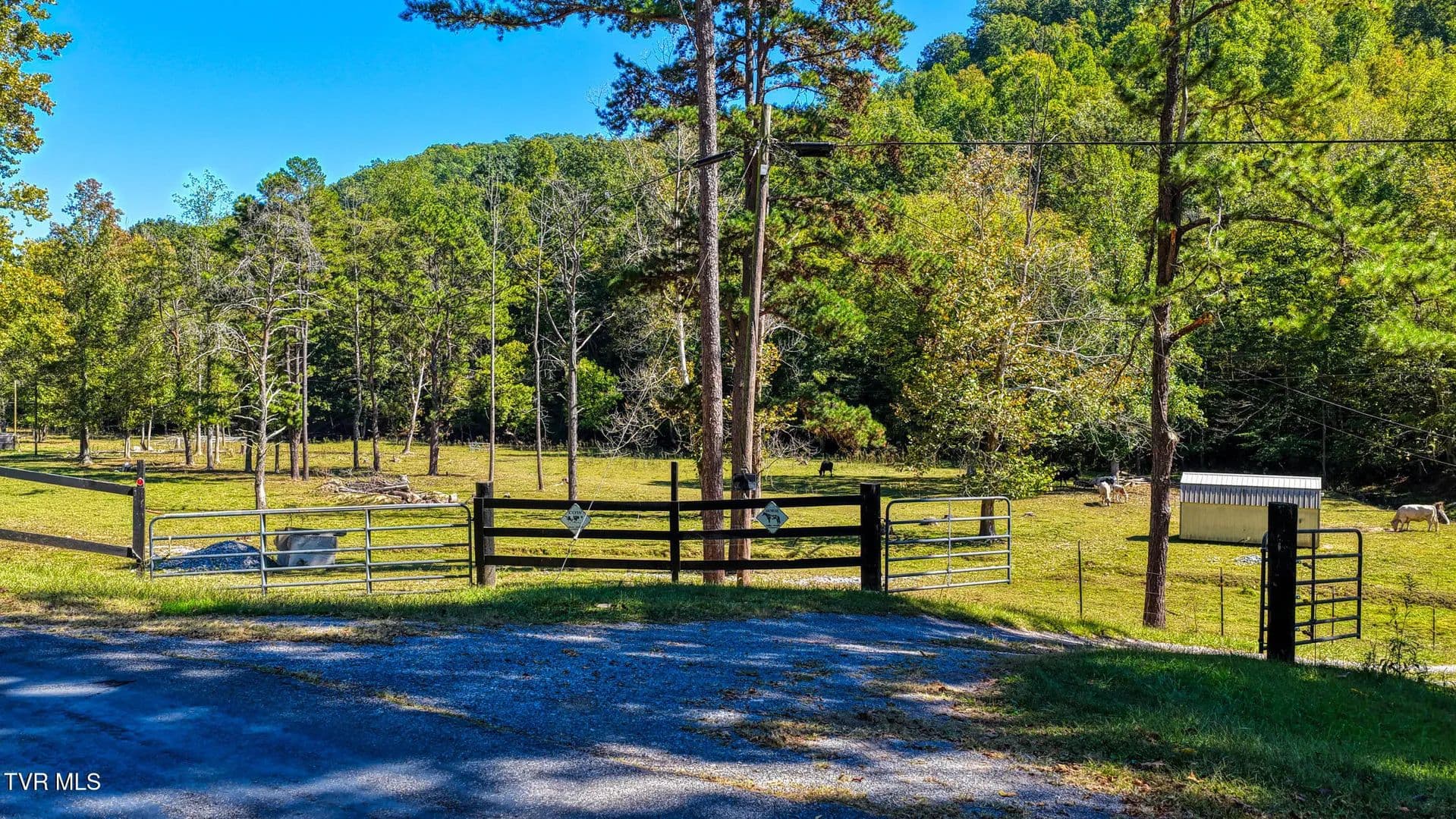 65.35 Acres of Land for Sale in Rogersville, TN - Rogersville, Tennessee, 37857