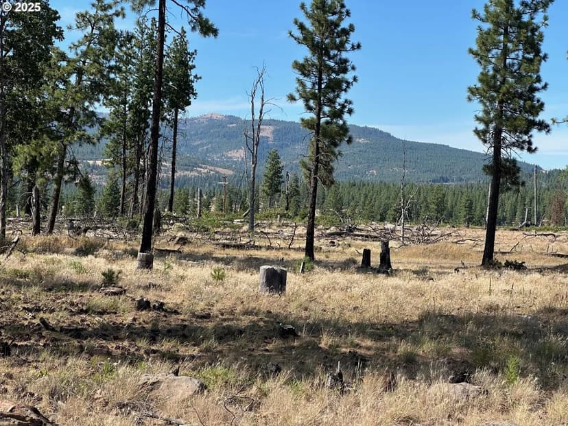 Property from 000 LEE RD - KW