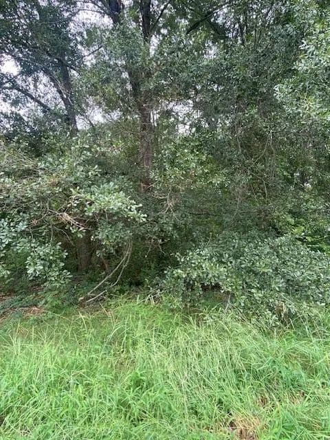 Property from Lot 102 Grand Oak Circle - KW