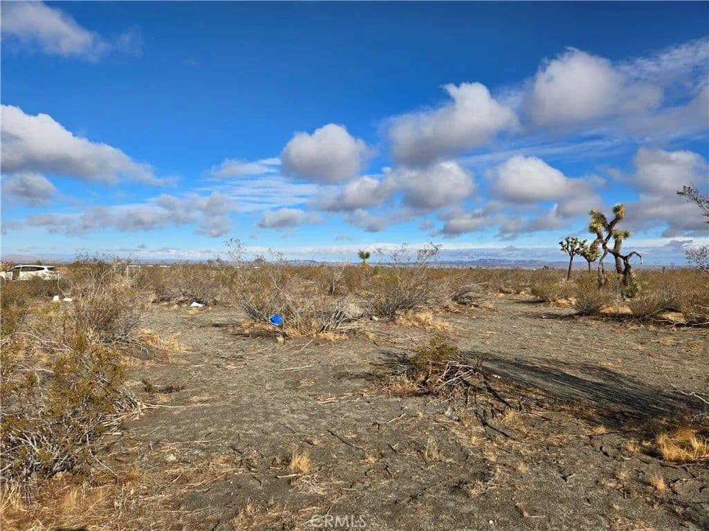 Vacant Land in Pinon Hills - Pinon Hills, California, 92372