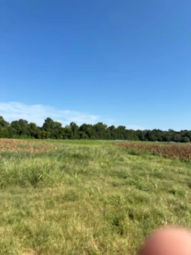 Terry Mason 140 - Wheatley, Arkansas, 72392