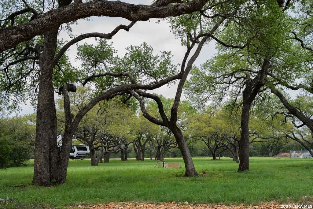Land for Sale in New Braunfels, TX - New Braunfels, Texas, 78132