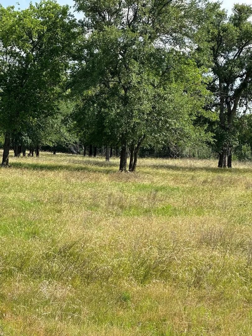 15.28 Acres of Land for Sale in Whitney, Texas - Whitney, Texas, 76692