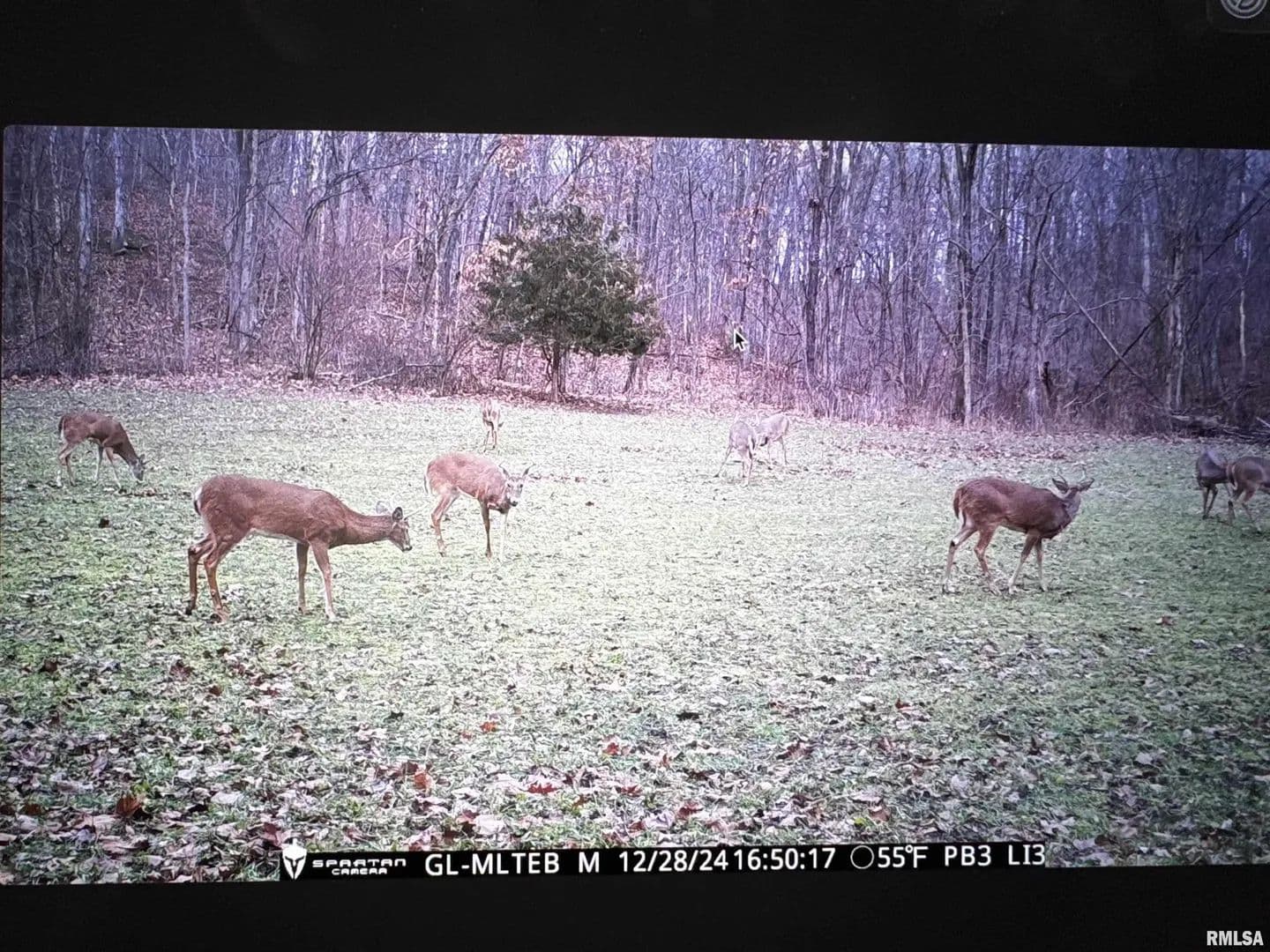 Property from RR Christian Neck Road - KW - Rushville, Illinois, 62681