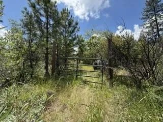 Vacant Land in Berry Creek - Berry Creek, California, 95916