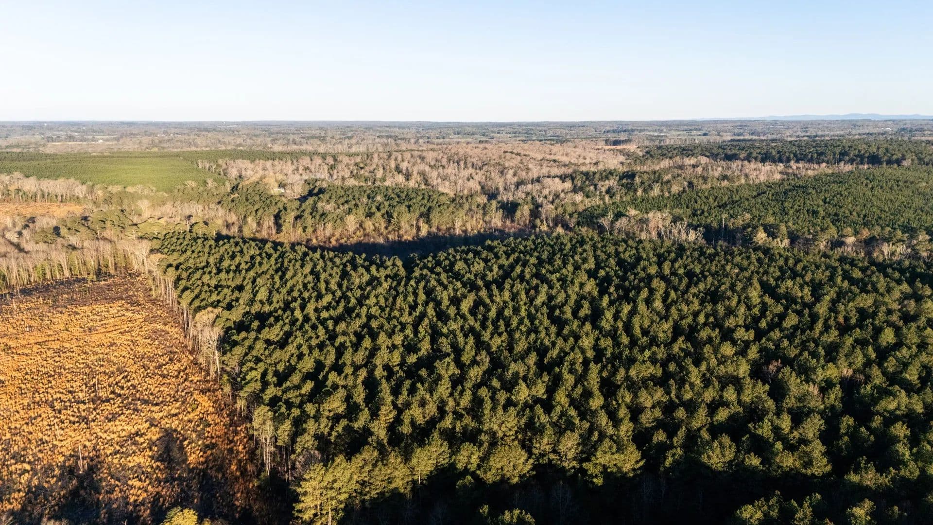 Brushy Creek Timberlands - Nashville, Arkansas, 71852