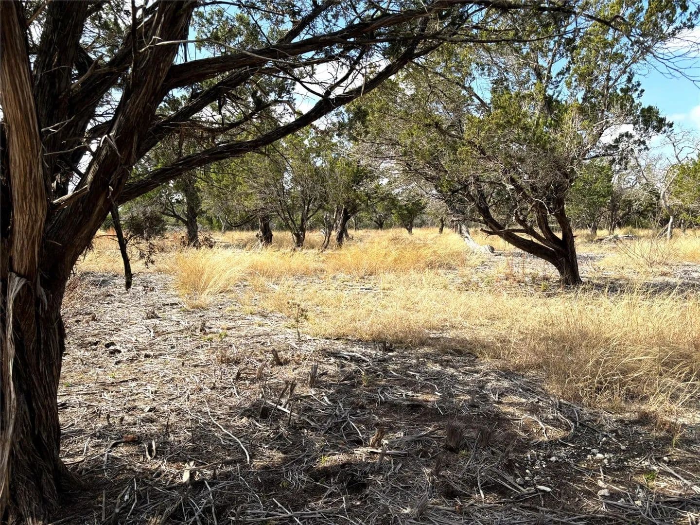 Vacant Land in Burnet - Burnet, Texas, 78611
