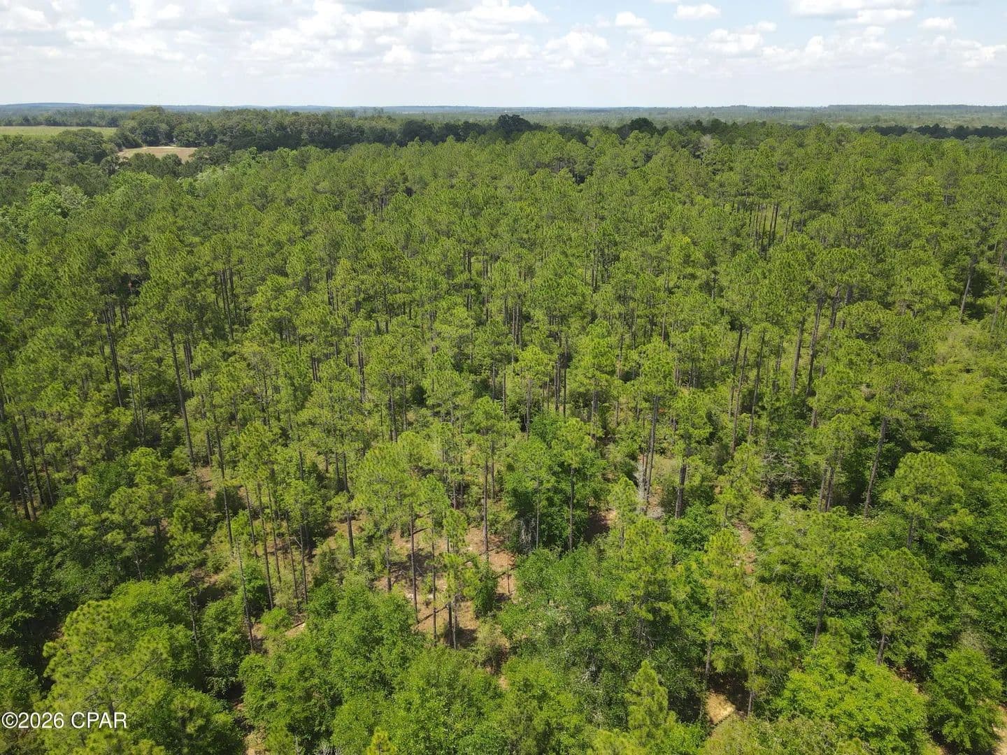 231.36 Acres of Land for Sale in Defuniak Springs, Florida - Defuniak Springs, Florida, 32433