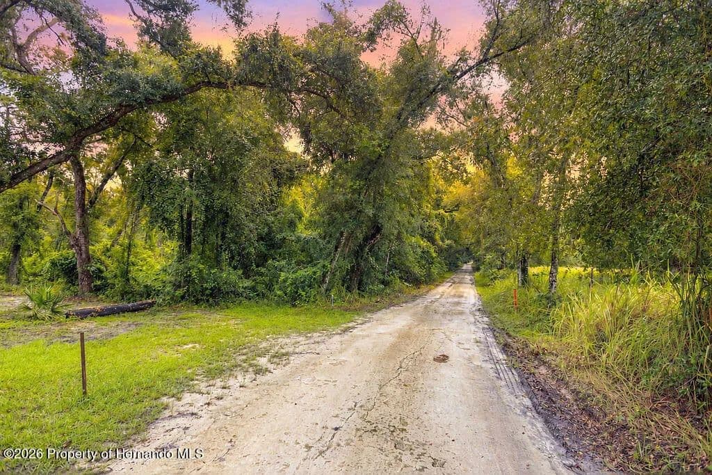9 Acres of Land for Sale in Nobleton, FL - Nobleton, Florida, 34661