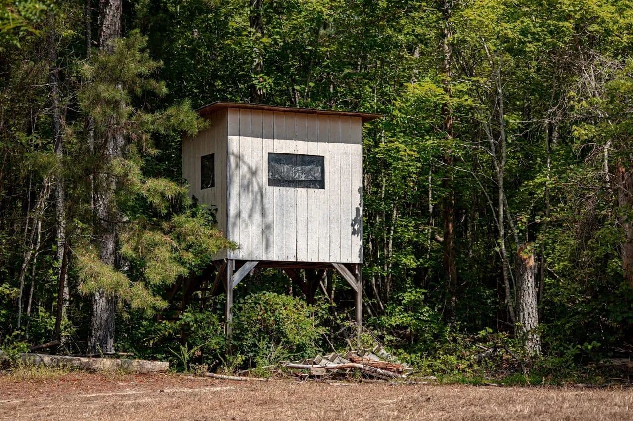 57 Acre Hunting Tract - Haleyville, Alabama, 35565