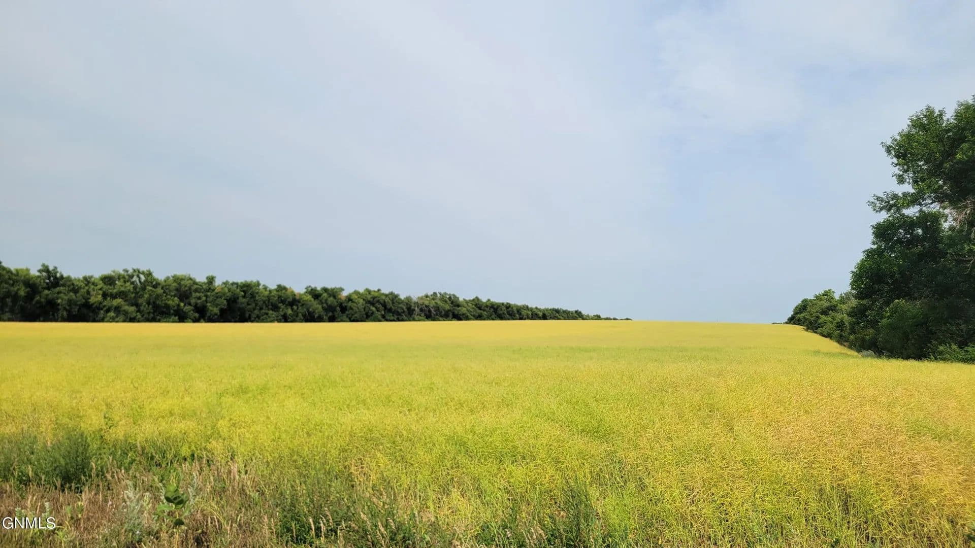 Vacant Land in Bismarck - Bismarck, North Dakota, 58501