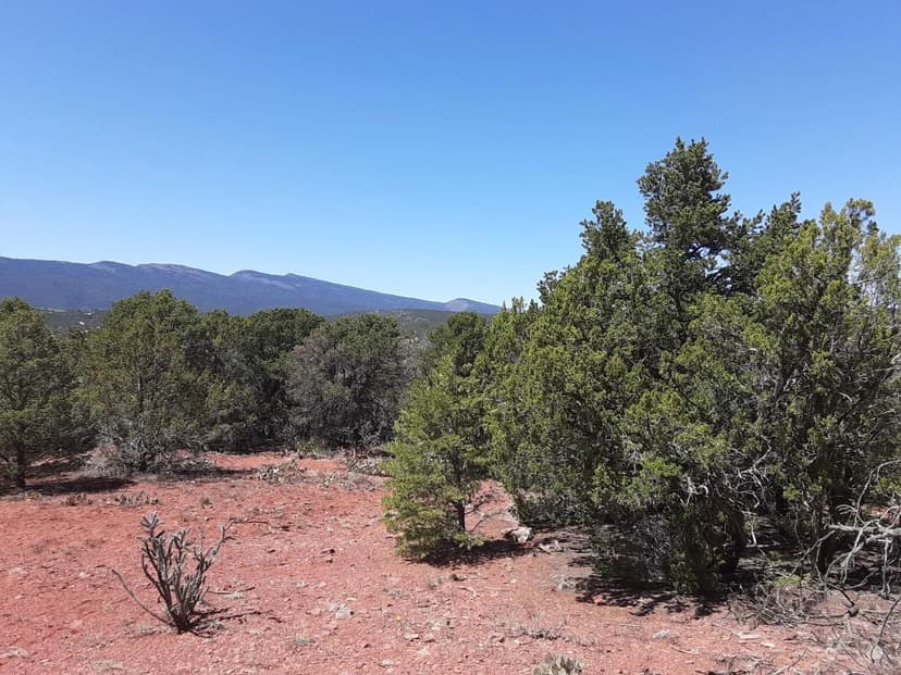 Property from 120 RATTLE SNAKE RIDGE - KW