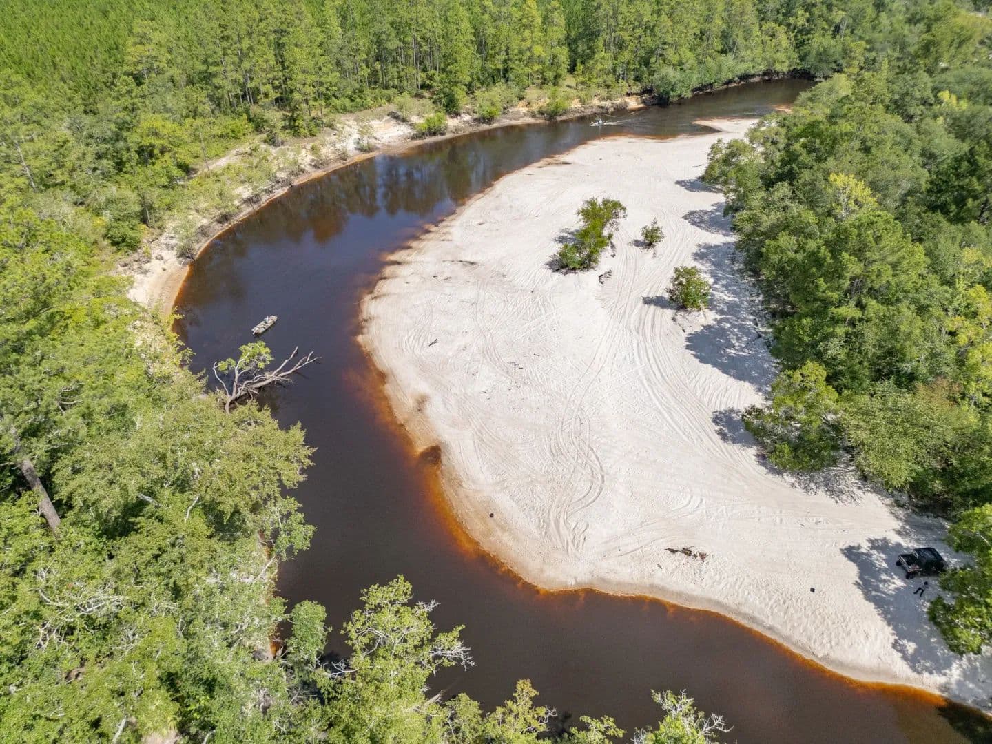 236.91 Acres of Land for Sale in Lakeland, GA - Lakeland, Georgia, 31635