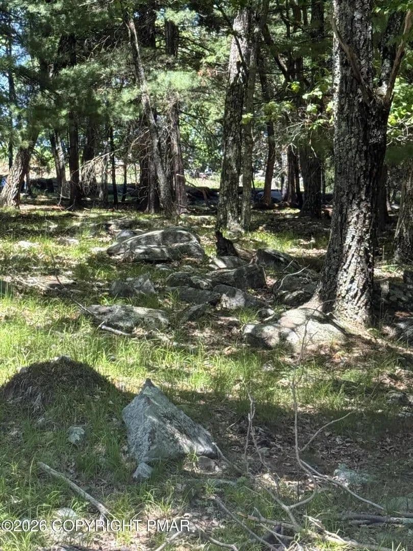 Lots & Land-Other in Tafton - Tafton, Pennsylvania, 18464