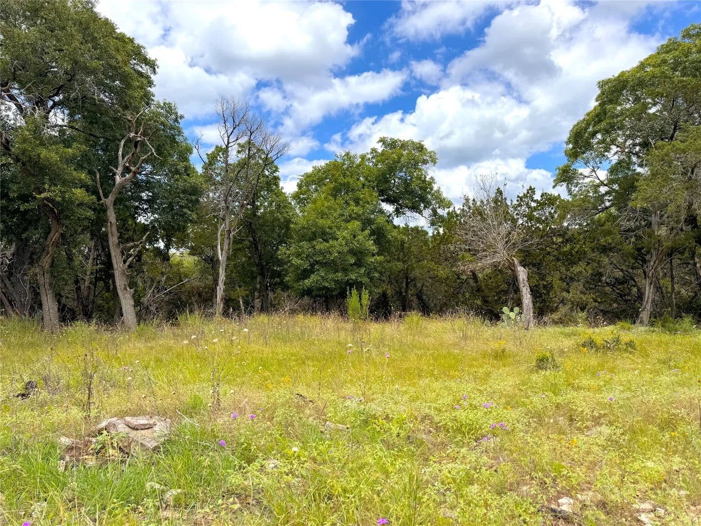 1.02 Acres of Land for Sale in Canyon Lake, Texas - Canyon Lake, Texas, 78133
