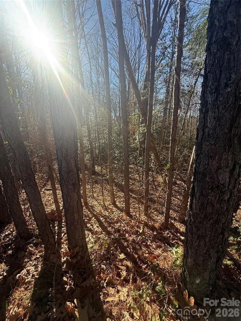 6.9 Acres of Land for Sale in Taylorsville, NC - Taylorsville, North Carolina, 28681