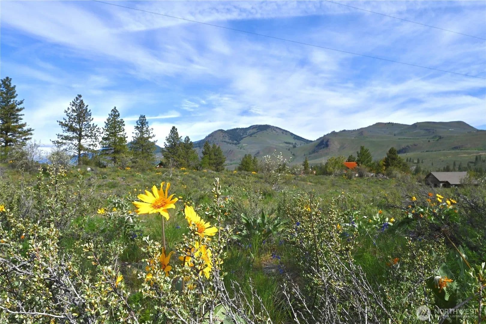 Lots & Land-Other in Winthrop - Winthrop, Washington, 98862