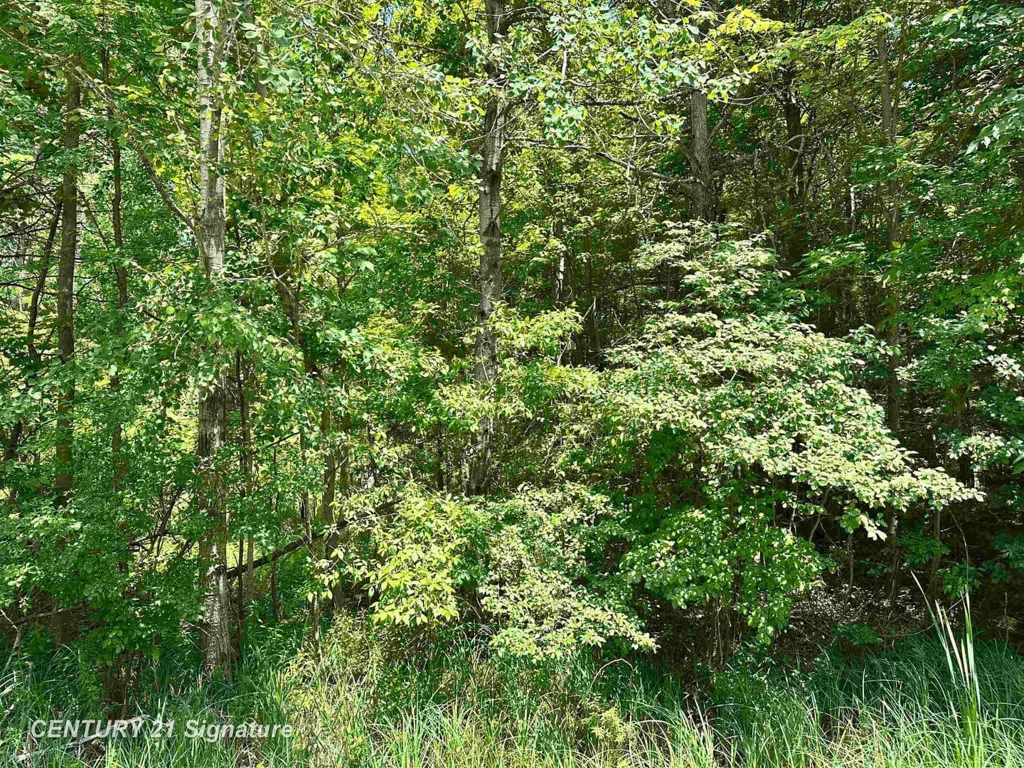 Vacant Land in Beaverton - Beaverton, Michigan, 48612