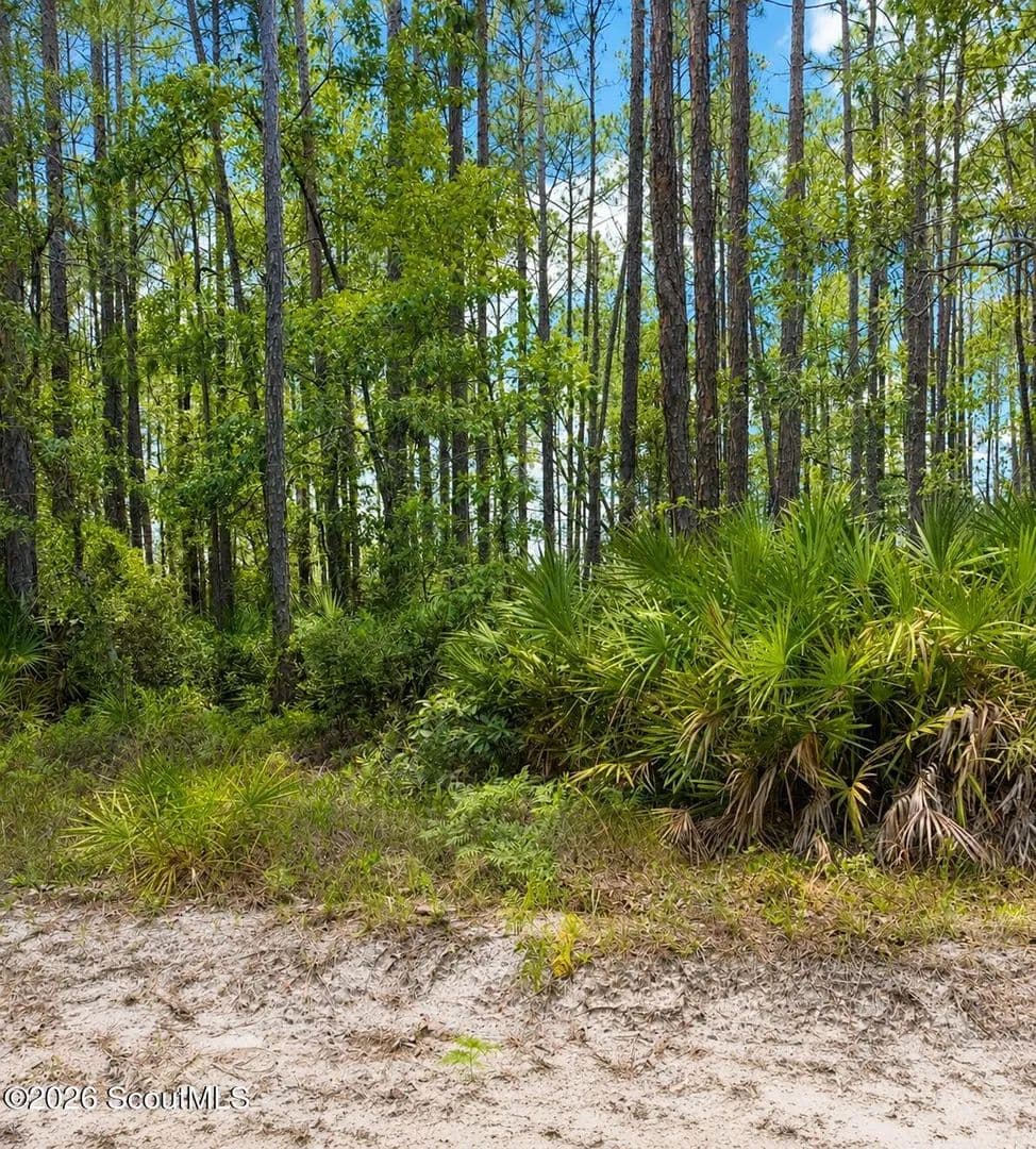 1 Acre of Land for Sale in Nahunta, Georgia - Nahunta, Georgia, 31553