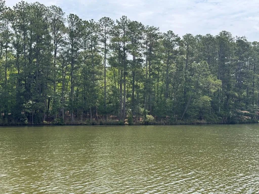 Property from Lot 14 Emerald Cove Lake Community - KW - Cross Hill, South Carolina, 29332