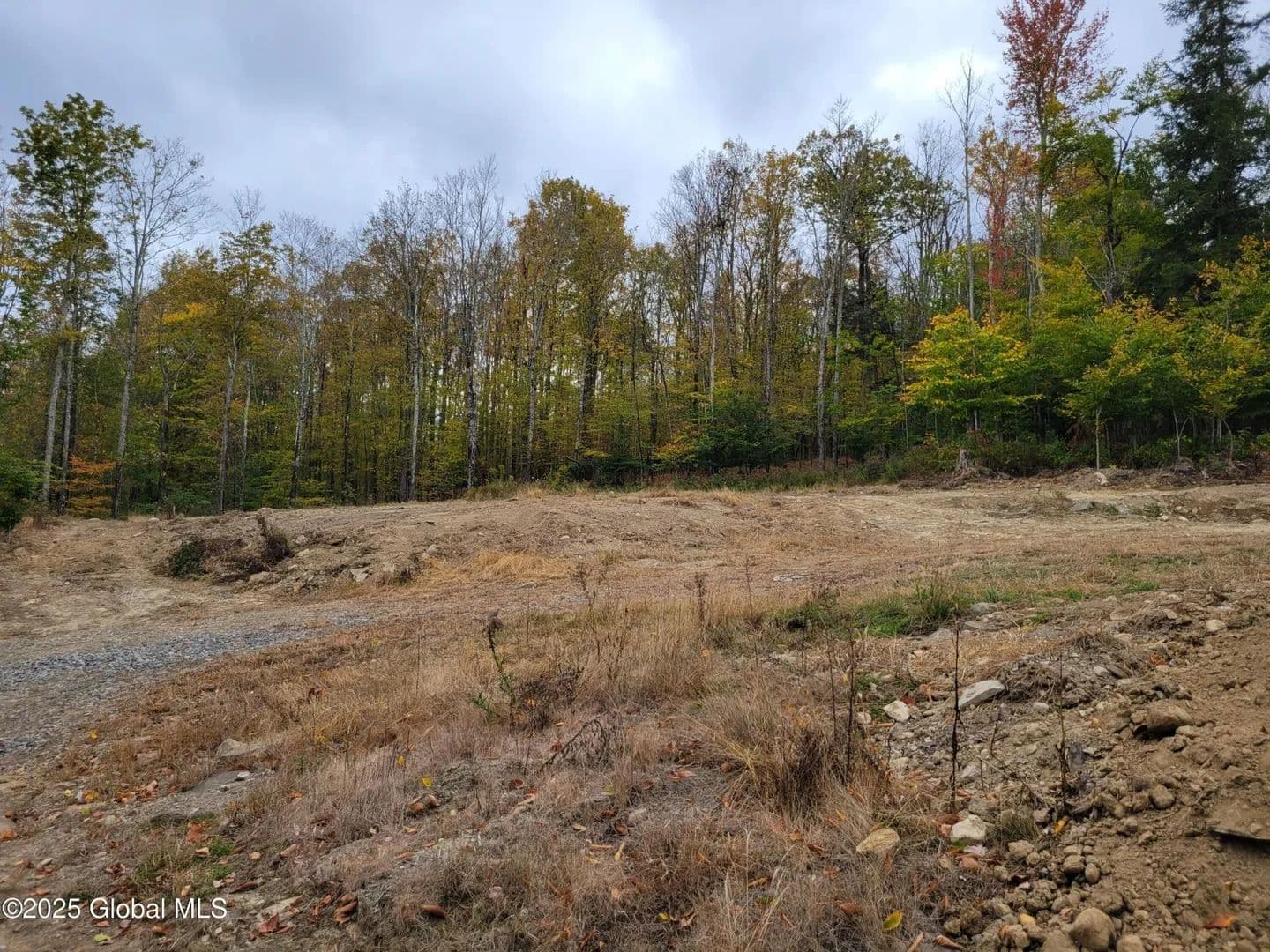 Land -Single Family Acreage in Esperance - Esperance, New York, 12066
