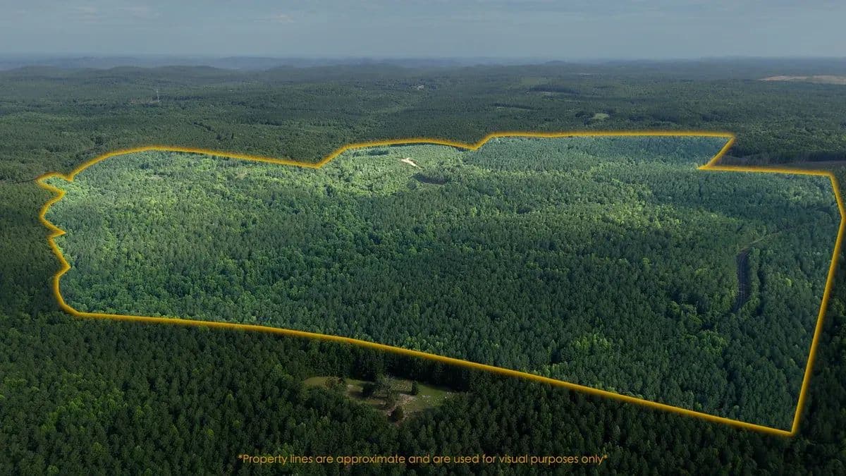 Bruton Uwharrie Tract - Troy, North Carolina, 27306
