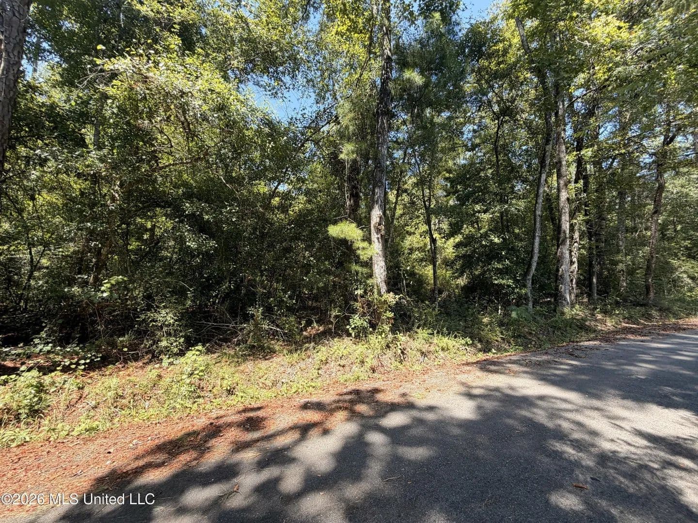 Lots & Land-Other in Lucedale - Lucedale, Mississippi, 39452