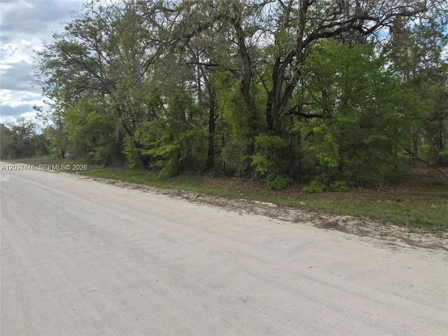 Vacant Land in Williston - Williston, Florida, 32696