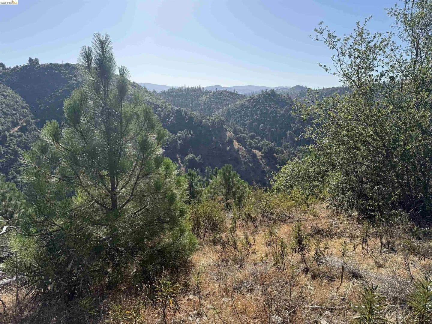 Lots & Land-Other in Mokelumne Hill - Mokelumne Hill, California, 95245