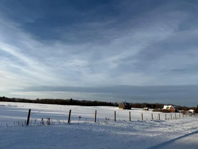 Lots & Land-Other in Mecosta